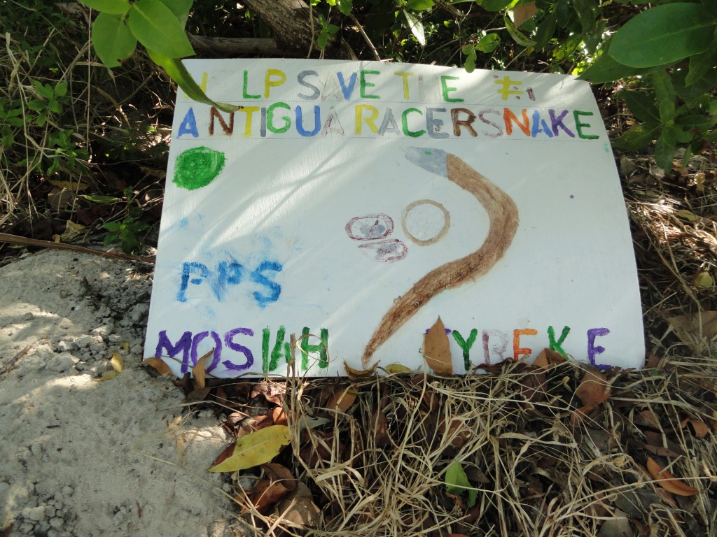 DSC04456