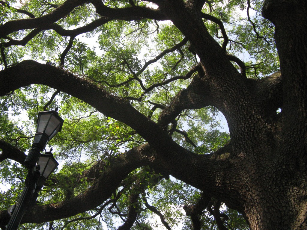 Savannah, GA