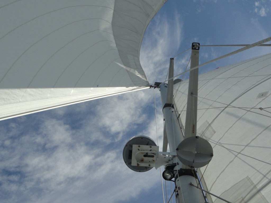 Wild Hair's mast appears to scrape the sky. What does the writer in you say about this excerpt from Ocean of Insight?